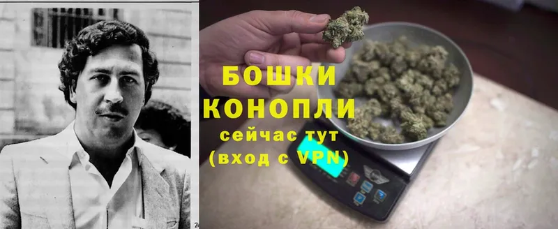 Бошки Шишки SATIVA & INDICA  маркетплейс официальный сайт  Байкальск 